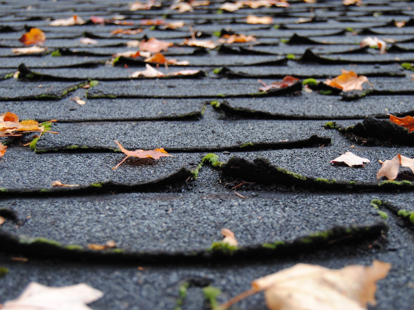 Asphalt roof shingles - prevention through design