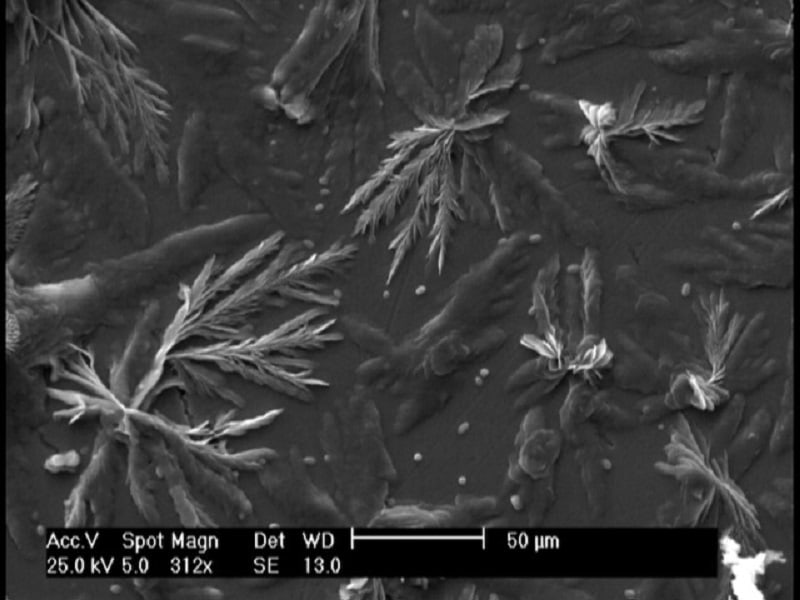Self-assembled cellulose nanocrystals - cellulose nanocrystals could be a wonder material