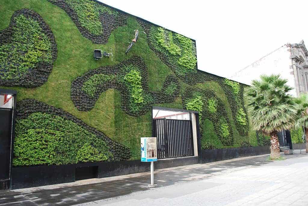Green wall (plant growth) in mexico city - the quest for energy efficient buildings