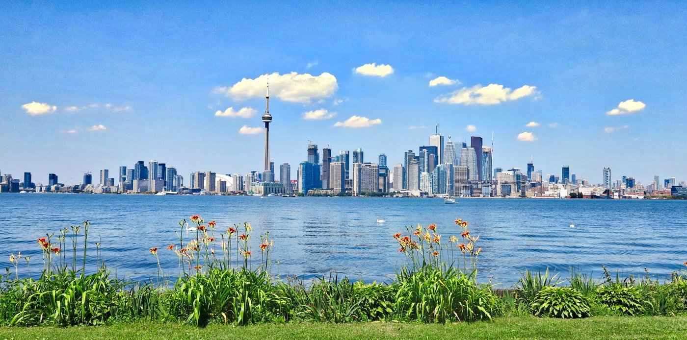 Toronto skyline with lake and park in front - ways toronto residents can contribute to ongoing green efforts
