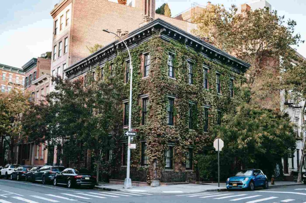 Ivy-covered apartment building - tips for eco-friendly property management