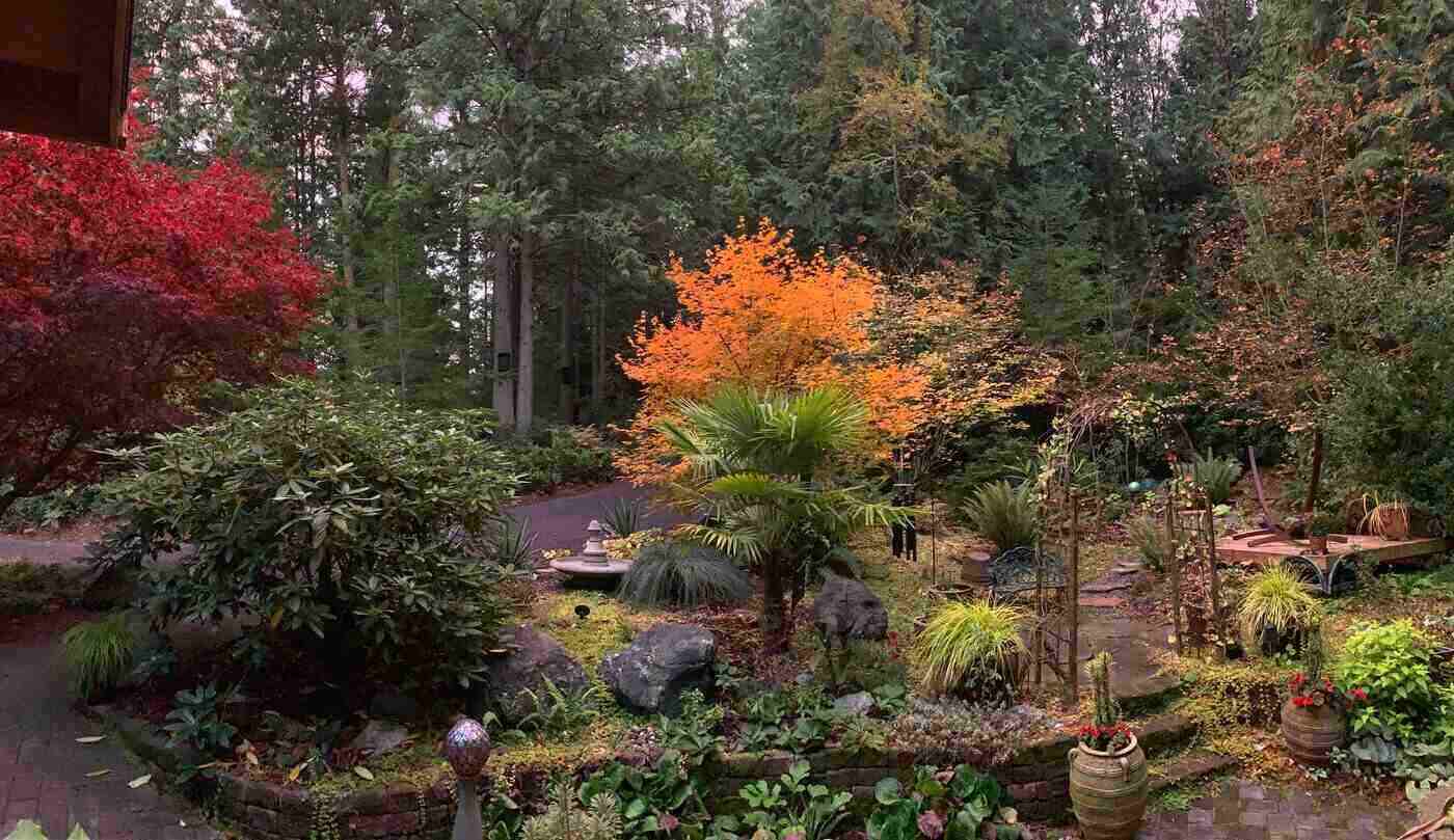 Landscaped garden in autumn - 7 useful outdoor landscaping tips
