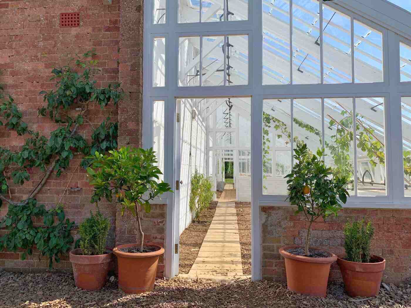 Reasons Why You Should Add A Conservatory To Your Home 4 Side view of conservatory with orange trees - reasons why you should add a conservatory to your home