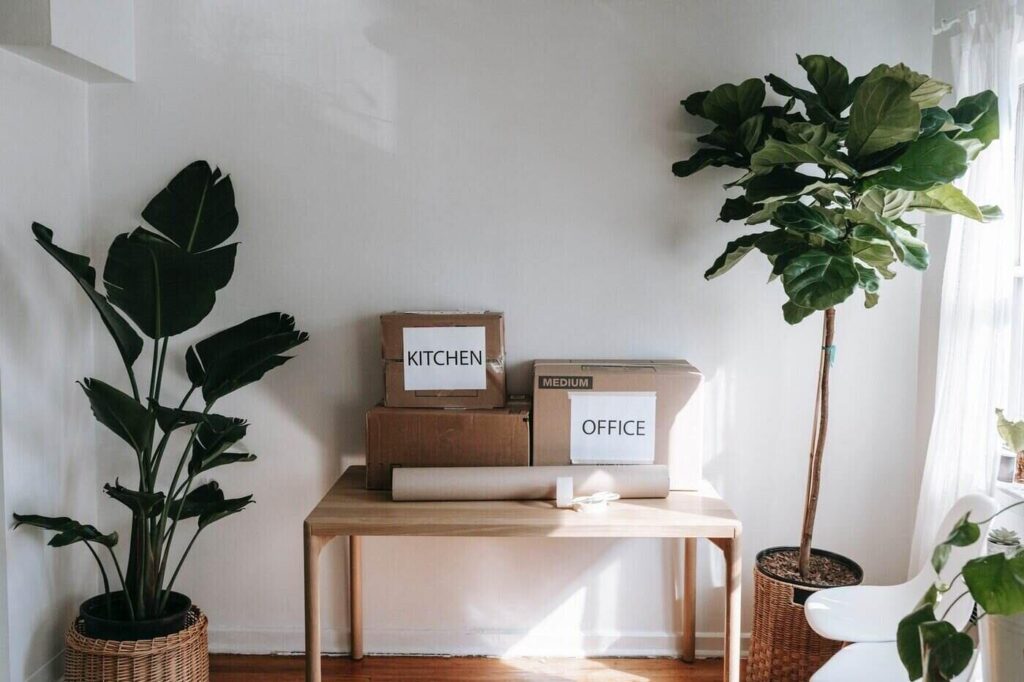 Cardboard boxes on table next to plants - the best ways to reduce waste when moving