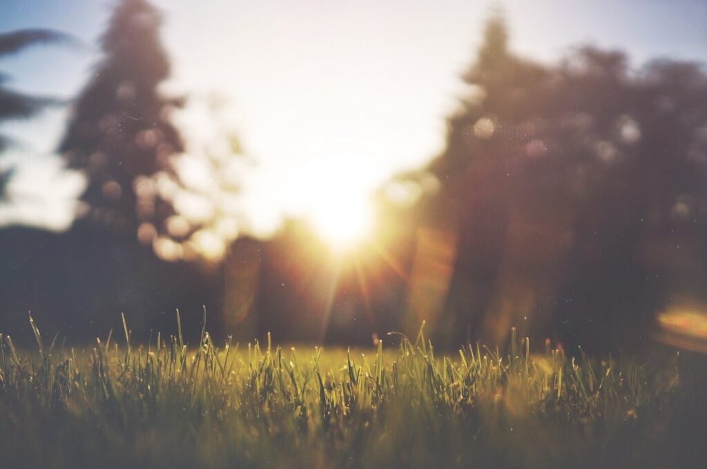 Morning sun on grass - 4 things to know about solar generators