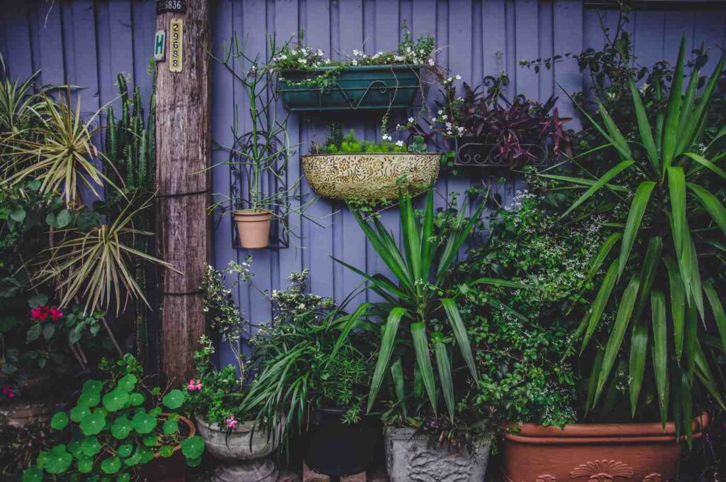 Plants-in-pots-benefits-vertical-gardens