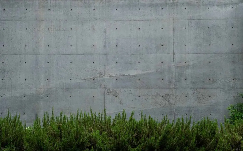 Concrete wall with greenery - options - eco-friendly concrete