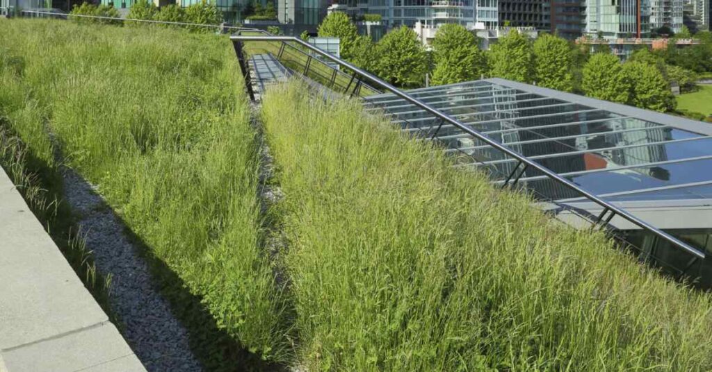 City of halifax’s use of green roofs to combat climate change