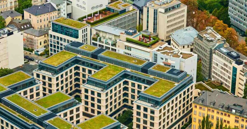 Green roofs in halifax