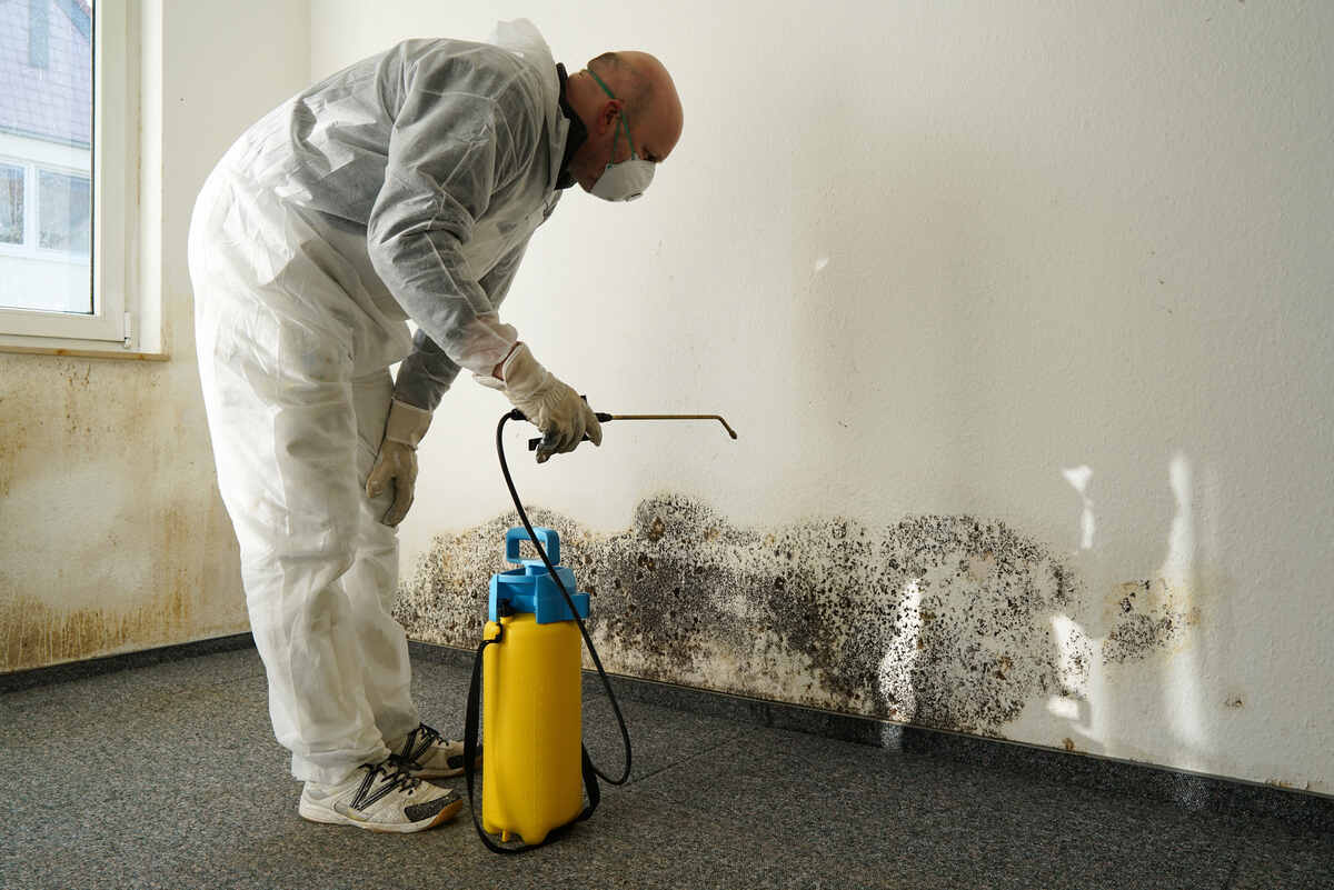 The Average Cost Of Mould Inspection And Remediation In Canada 2 Mould remediation of house