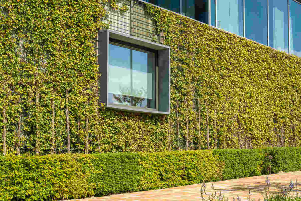 Green wall - sustainability workplace
